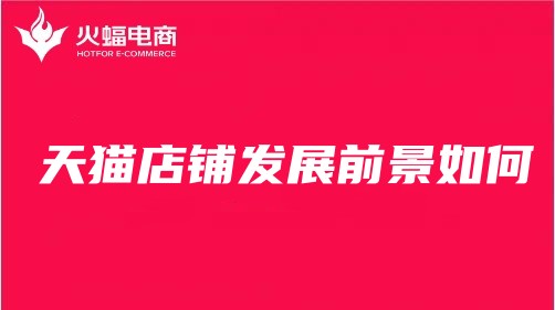 盧灣天貓代運營 盧灣天貓代運營